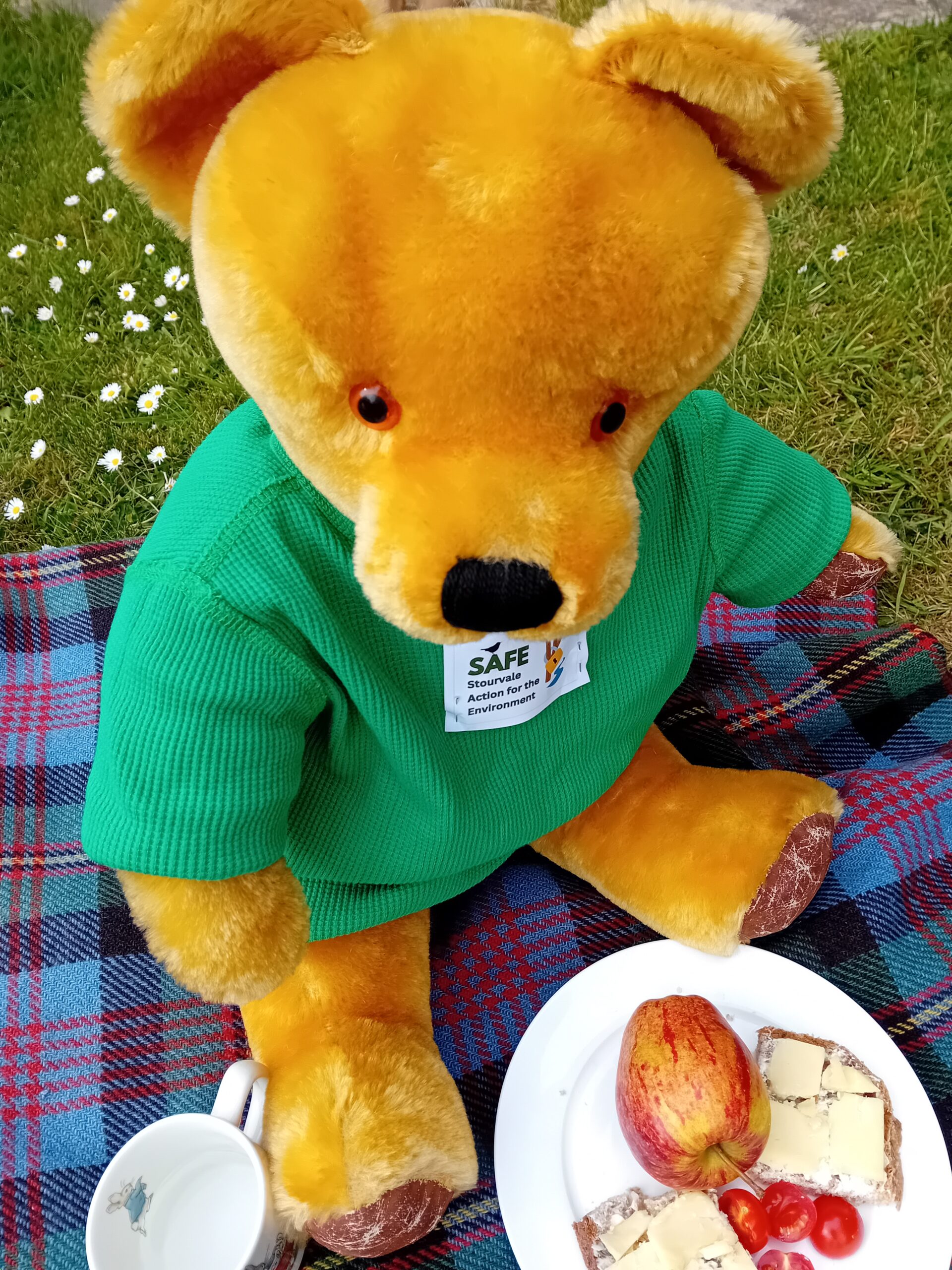 Get ready for Shipston’s Great Big Green Week