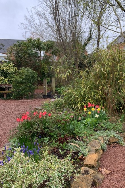 Transforming the Sensory Garden