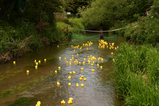 Ducks race to victory