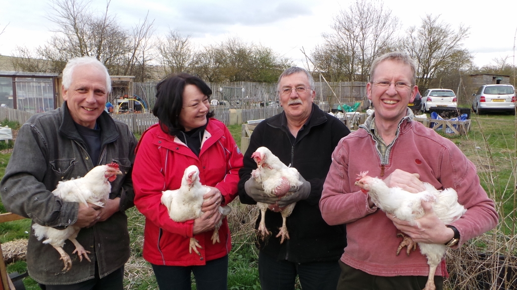 /wp-content/uploads/news/Philip's upload folder - images/Chickens (1024x576).jpg